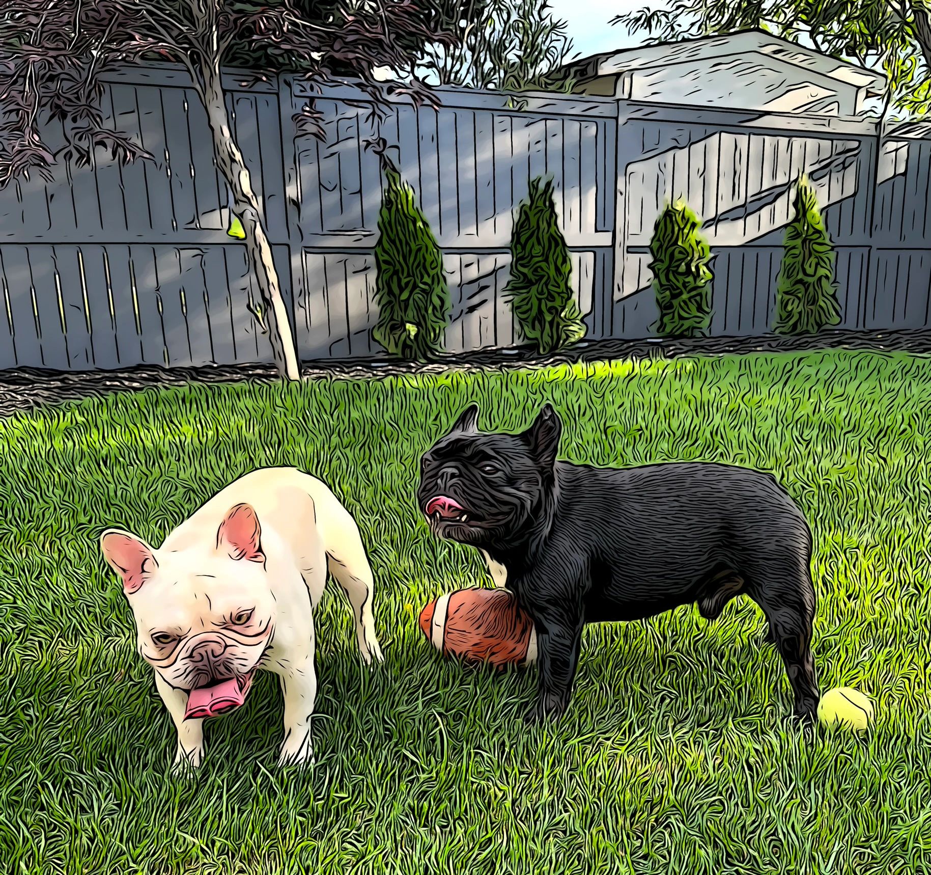 Find the Best Pet Sitting Services for Dogs